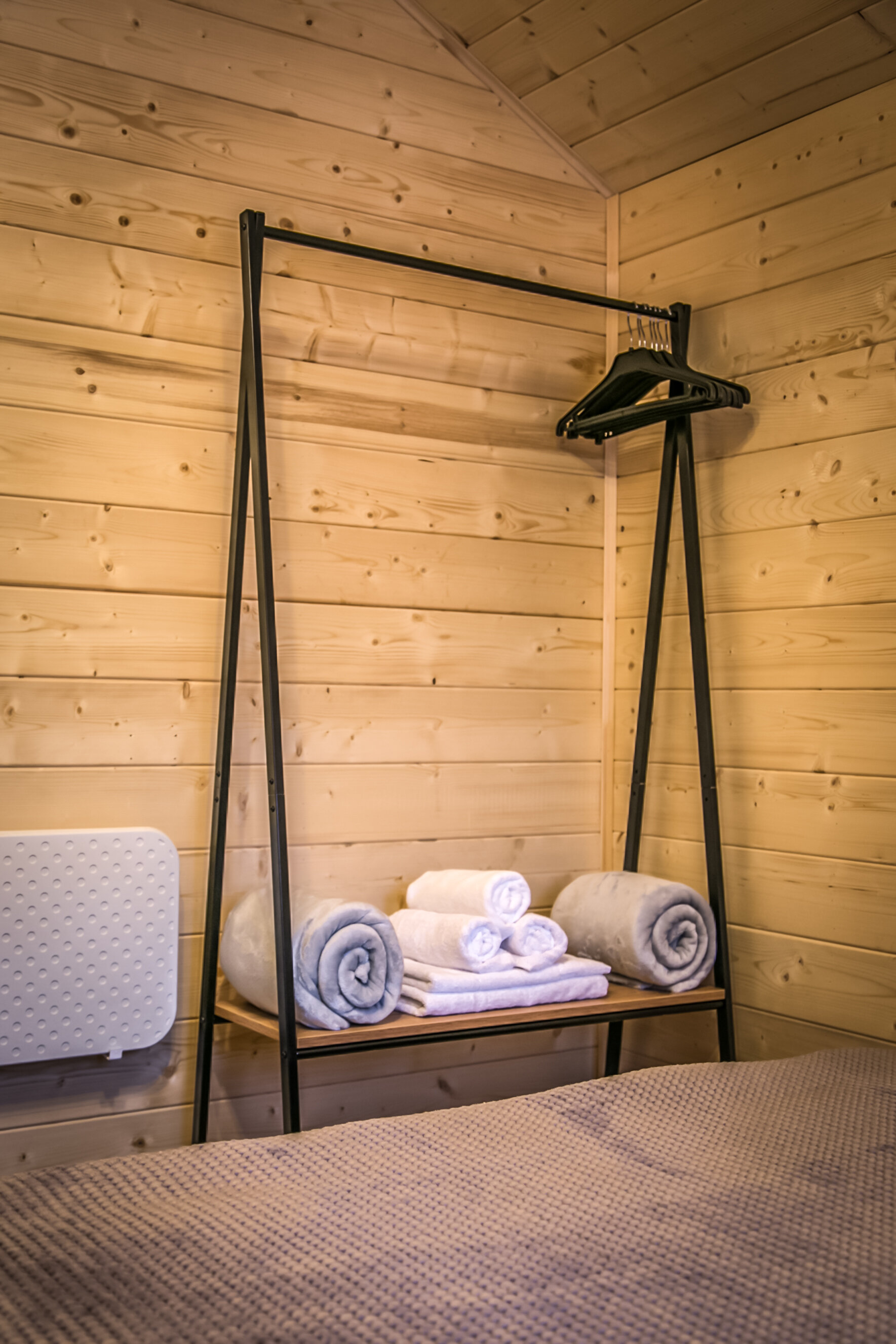 Фото Дикая Лошадь