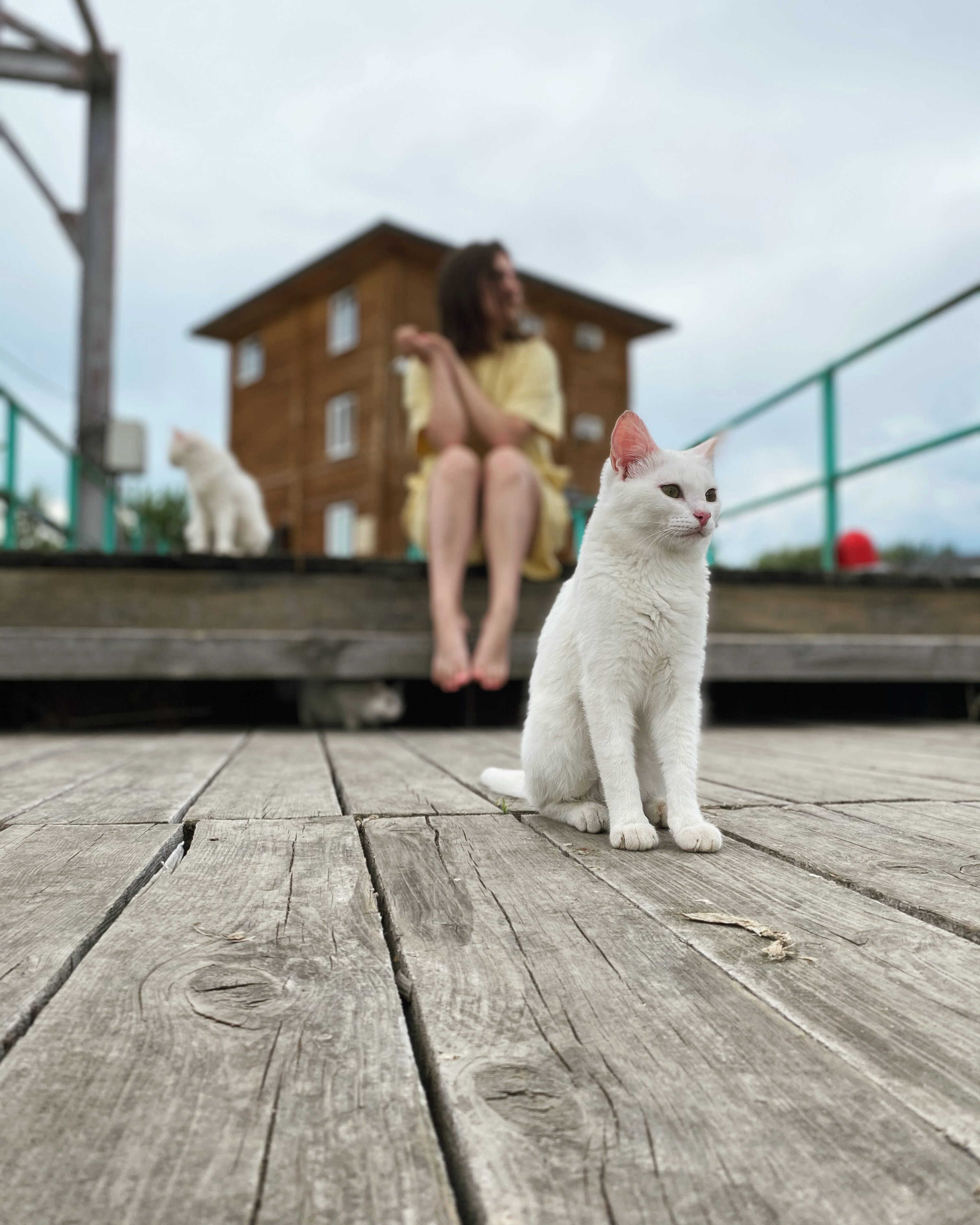 Фото Ветерок