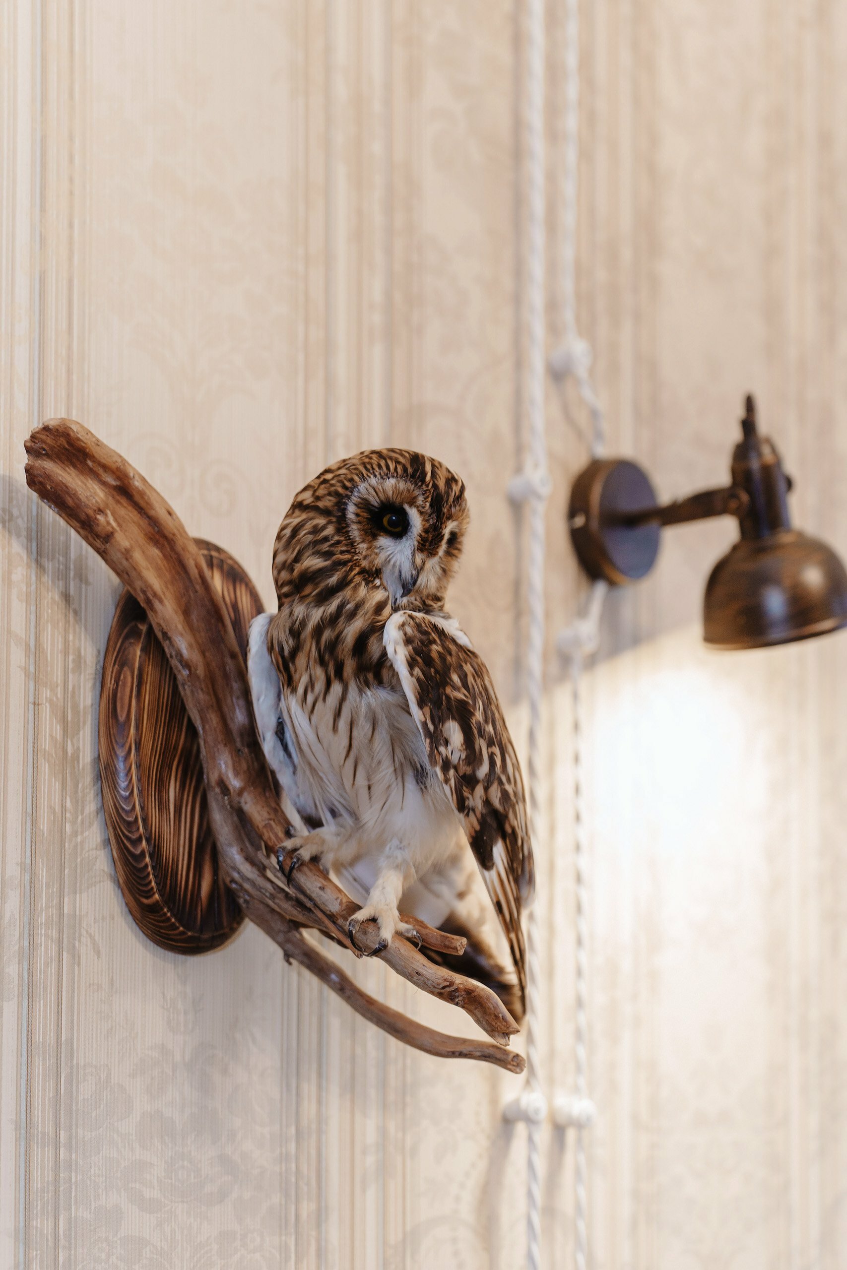 Фото Дом купчихи Ершовой