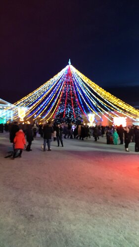 Гостиница Лисья нора в Чите