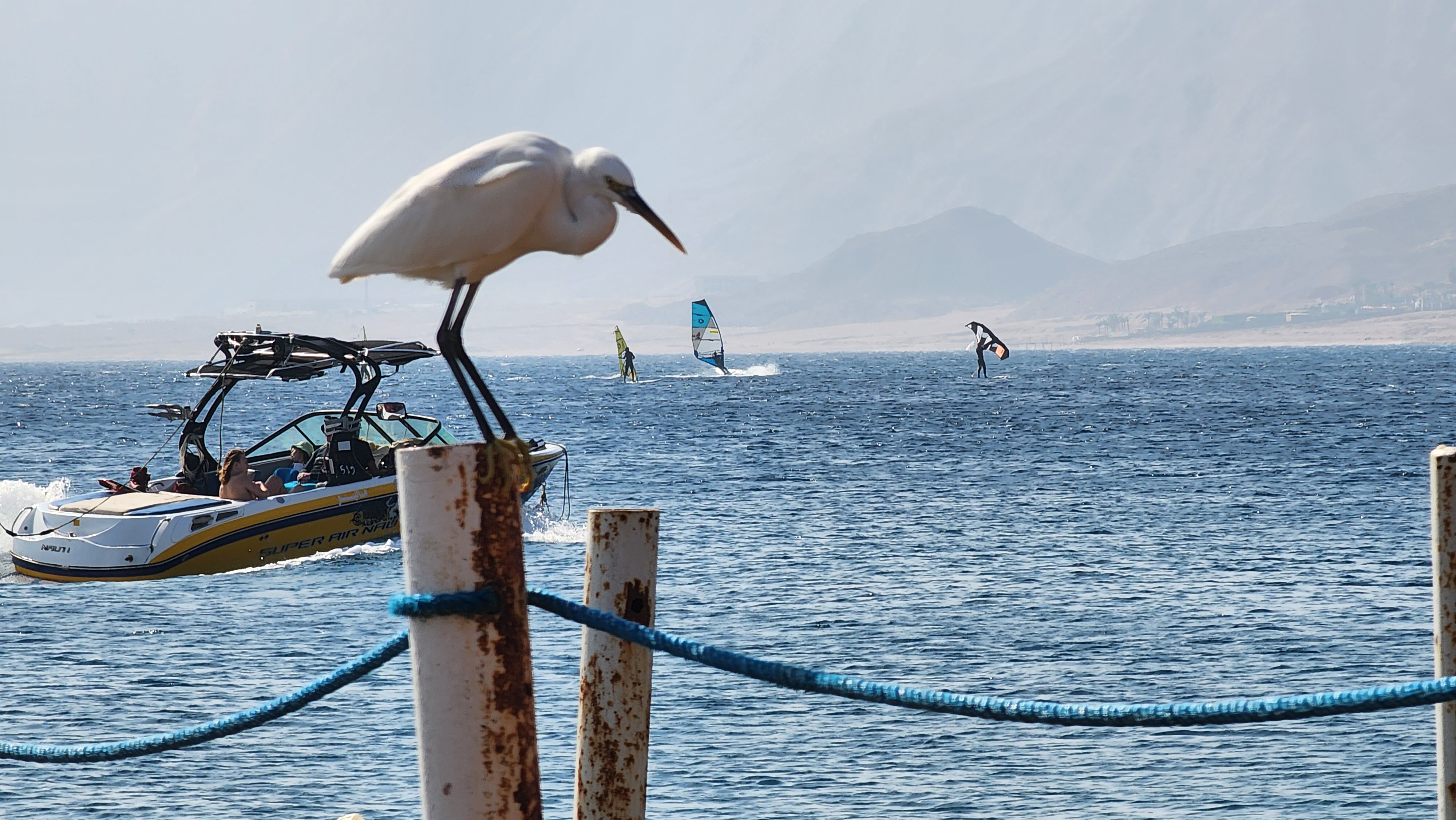 Фото Dahab Lagoon Club Resort