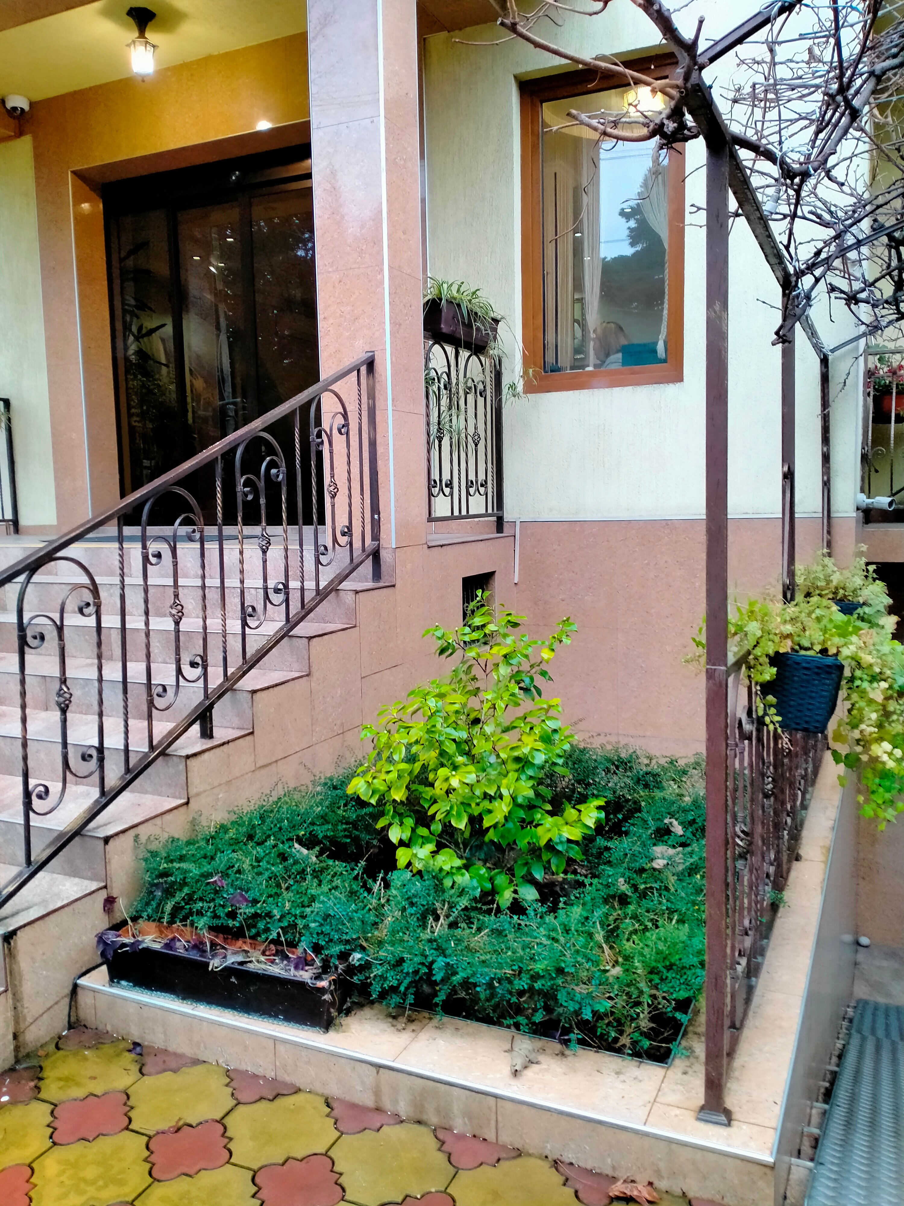 Фото Надежда