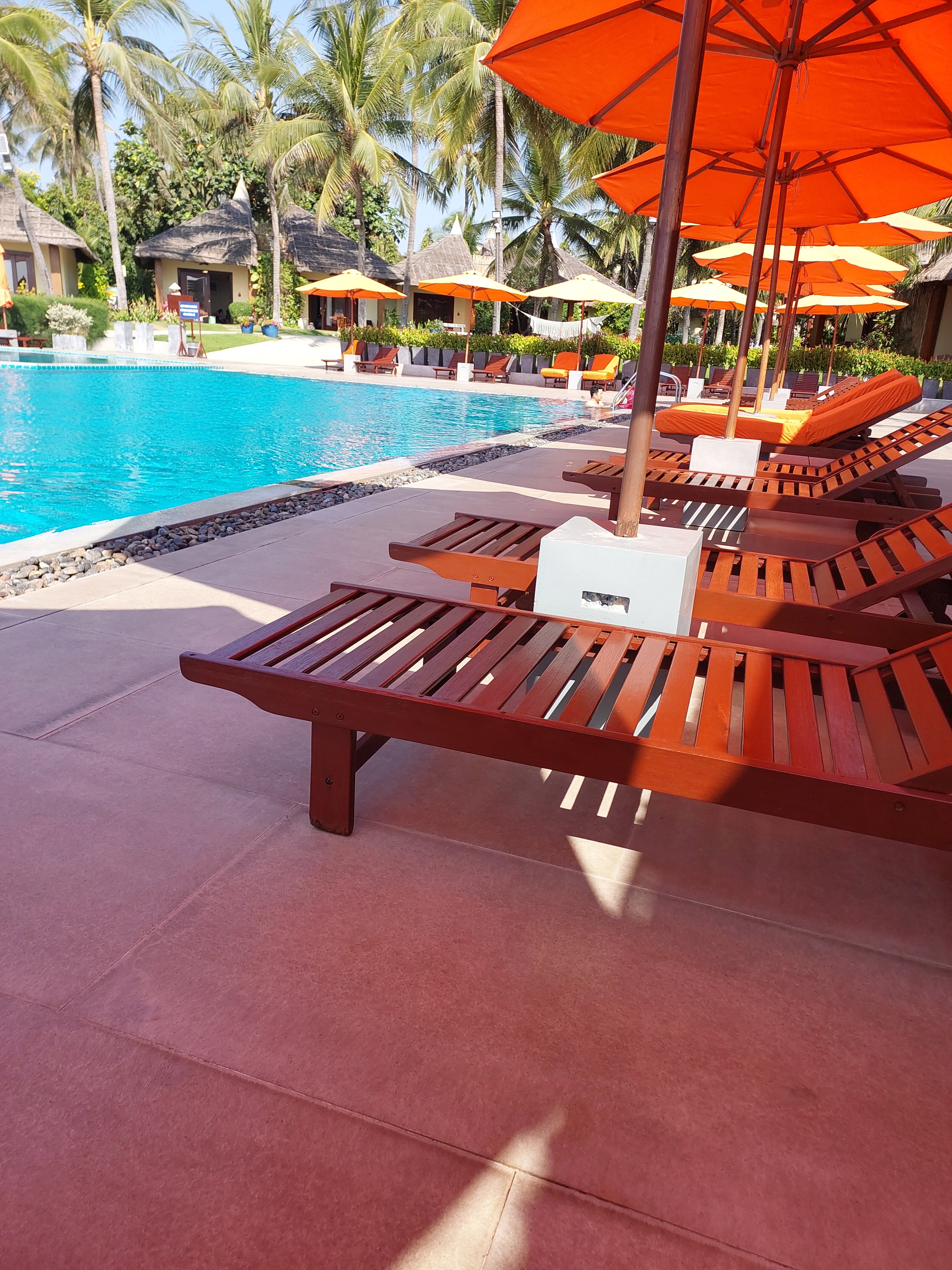 Фото Terracotta Resort & SPA