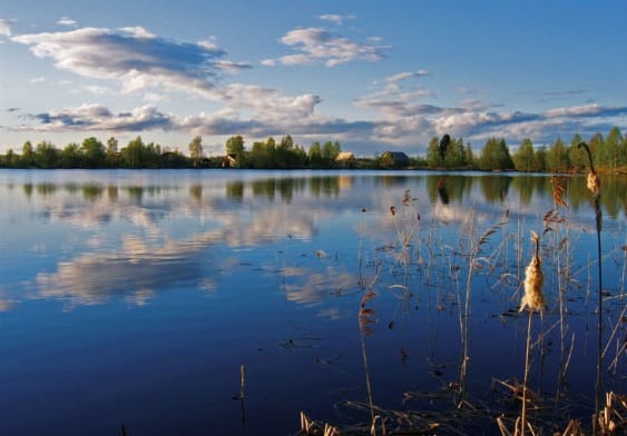 Фото Афрейм Бережок