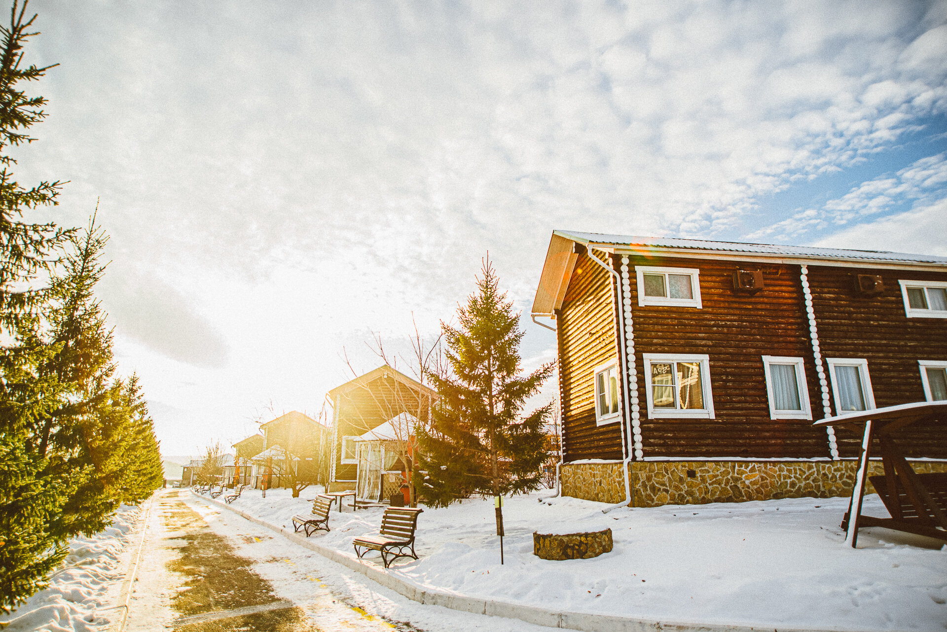 Фото Белая лошадь