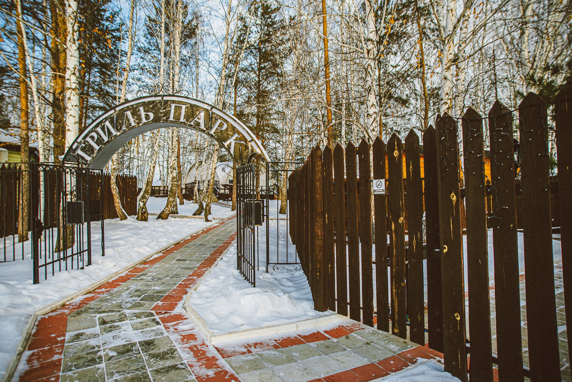 Фото Белая лошадь