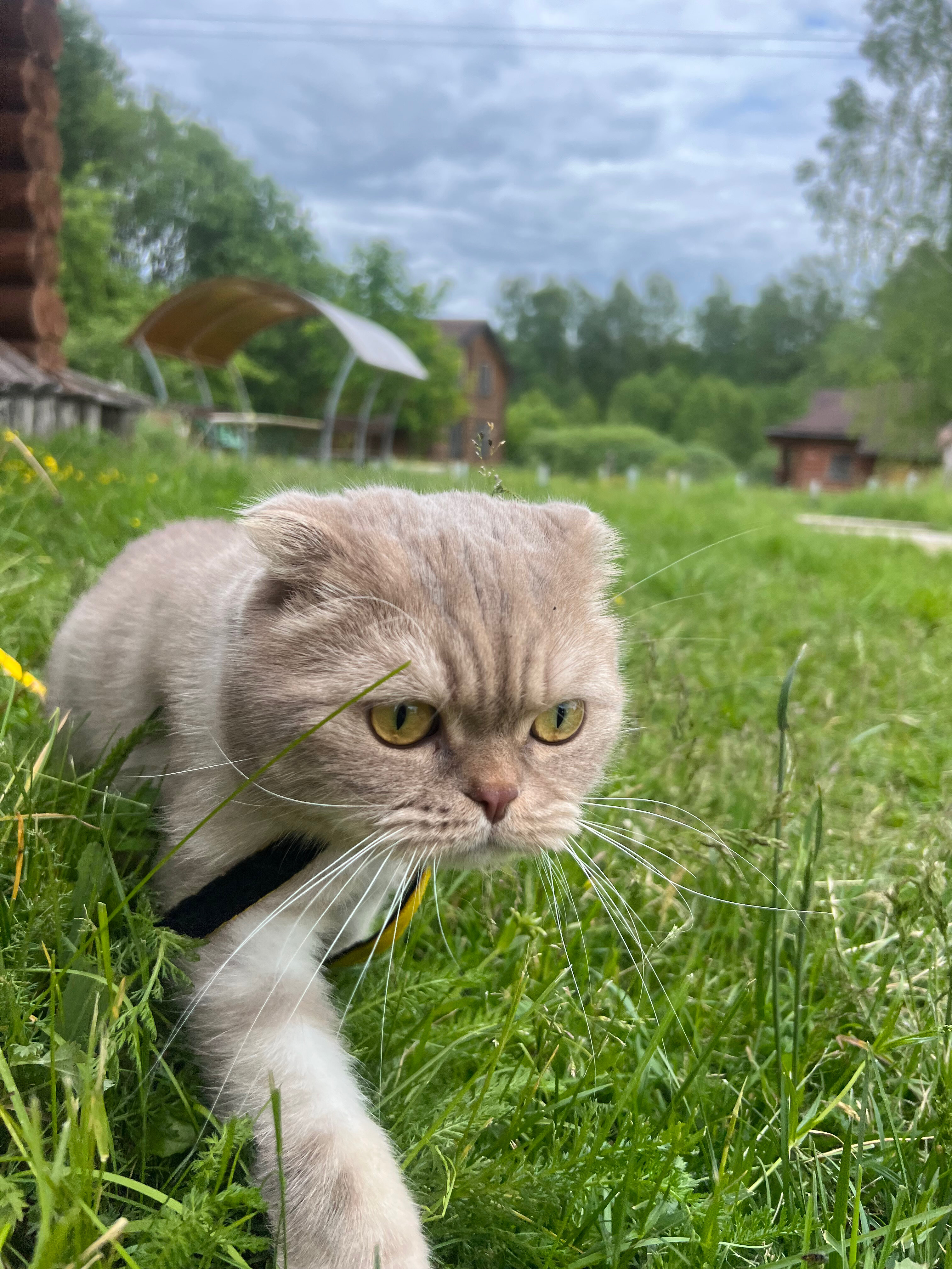 Фото Сафари Парк