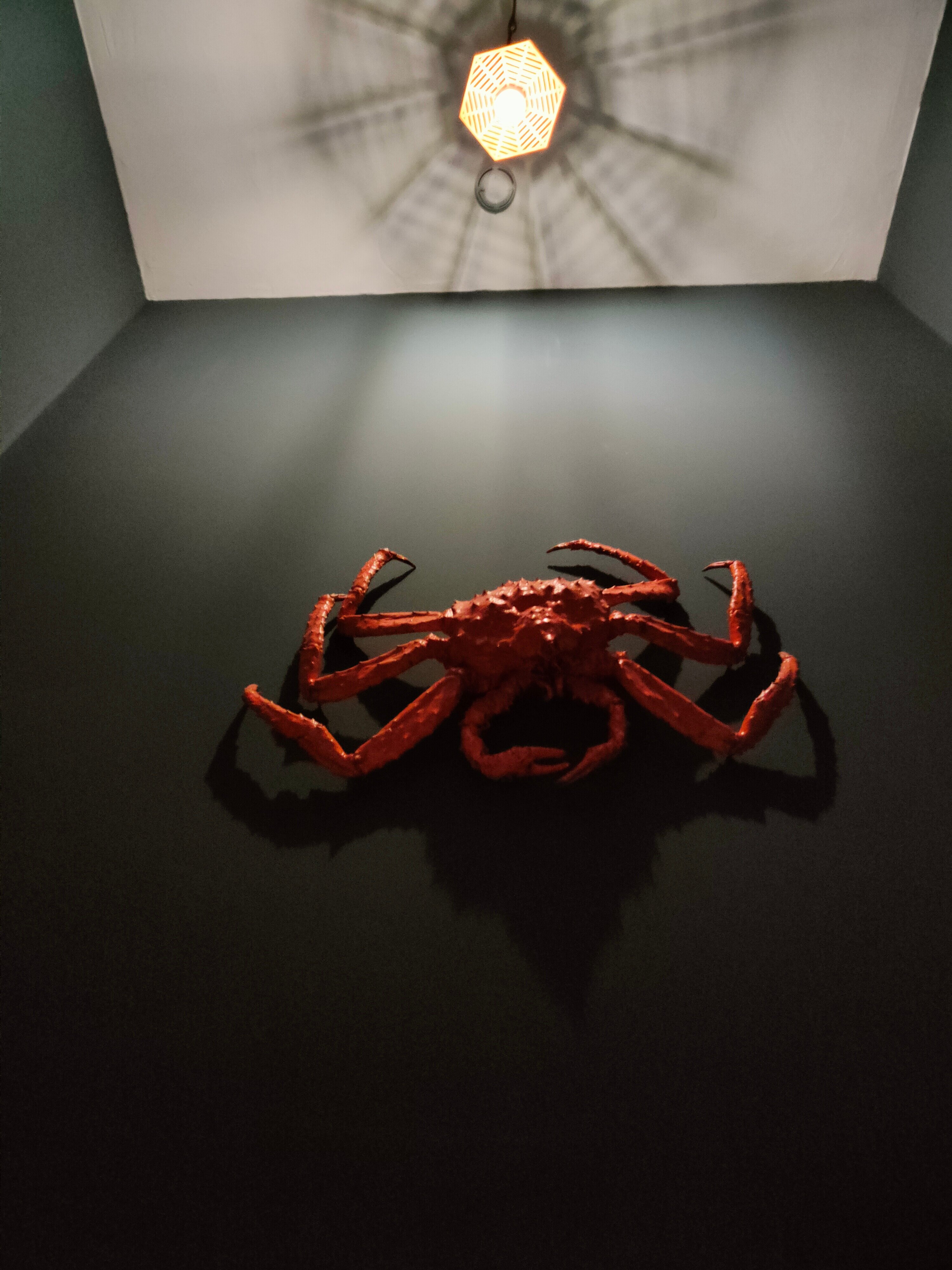 Фото Мурман Лофт