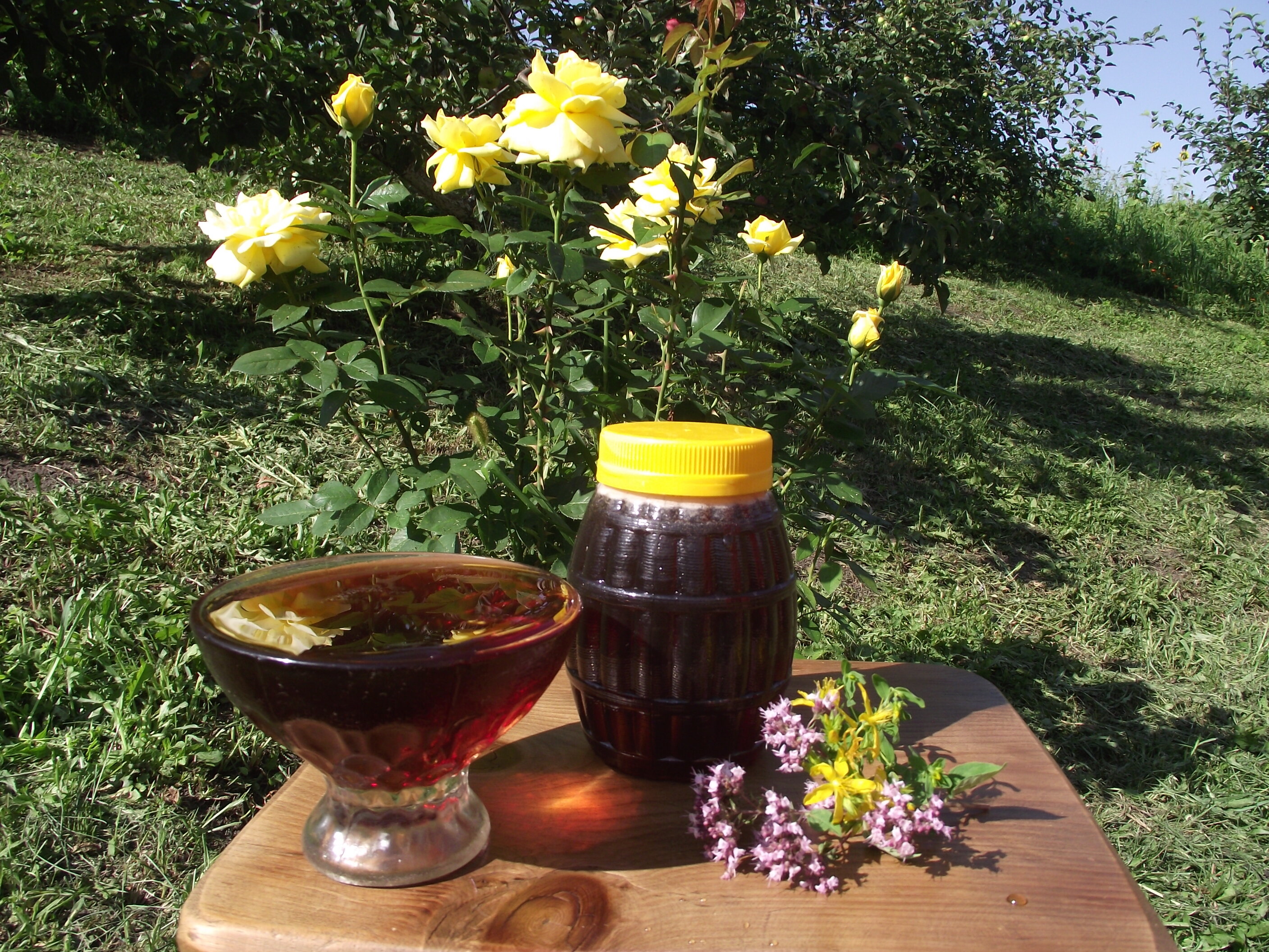 Фото Тихий Лог