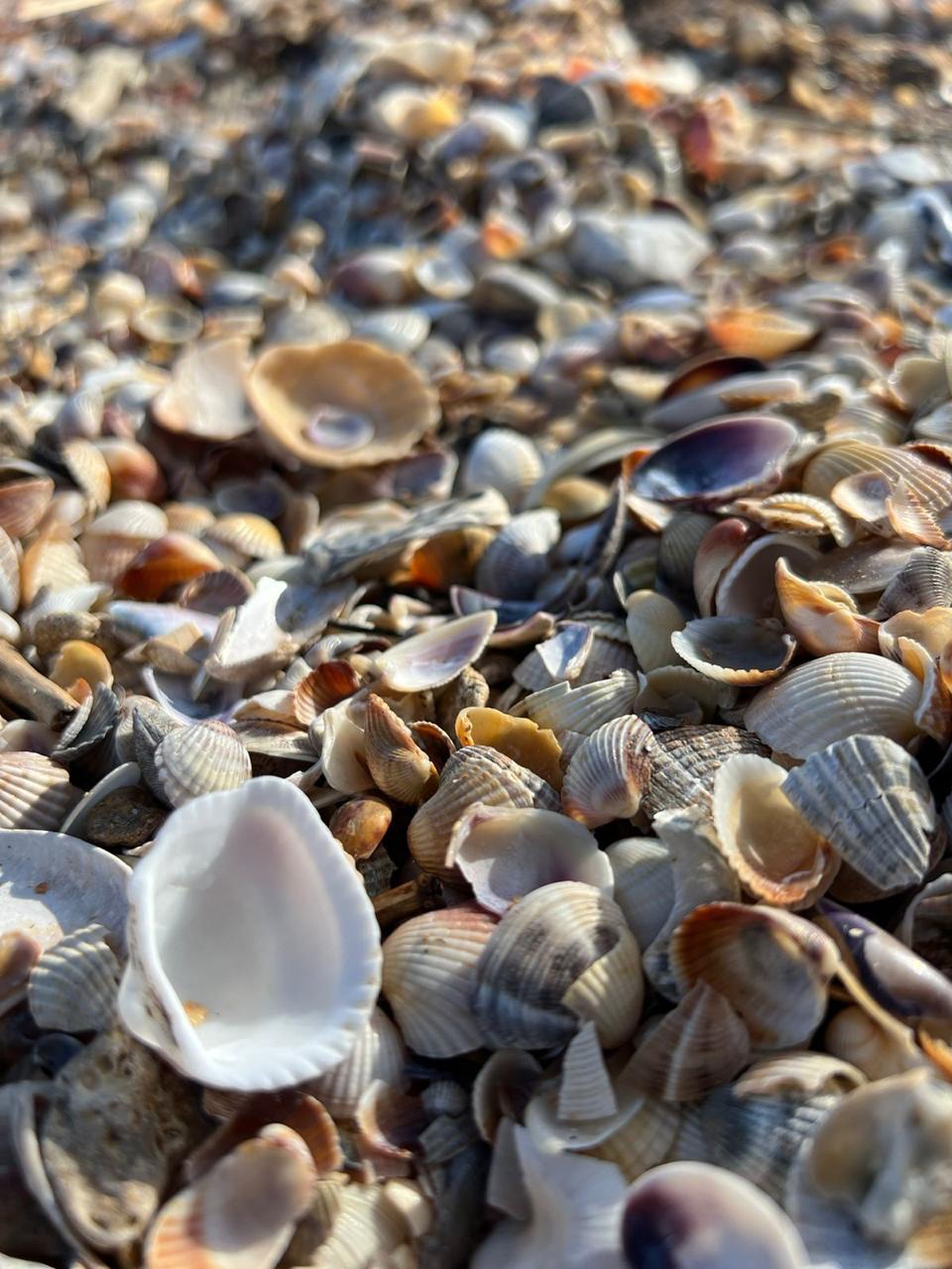 Фото Два моря