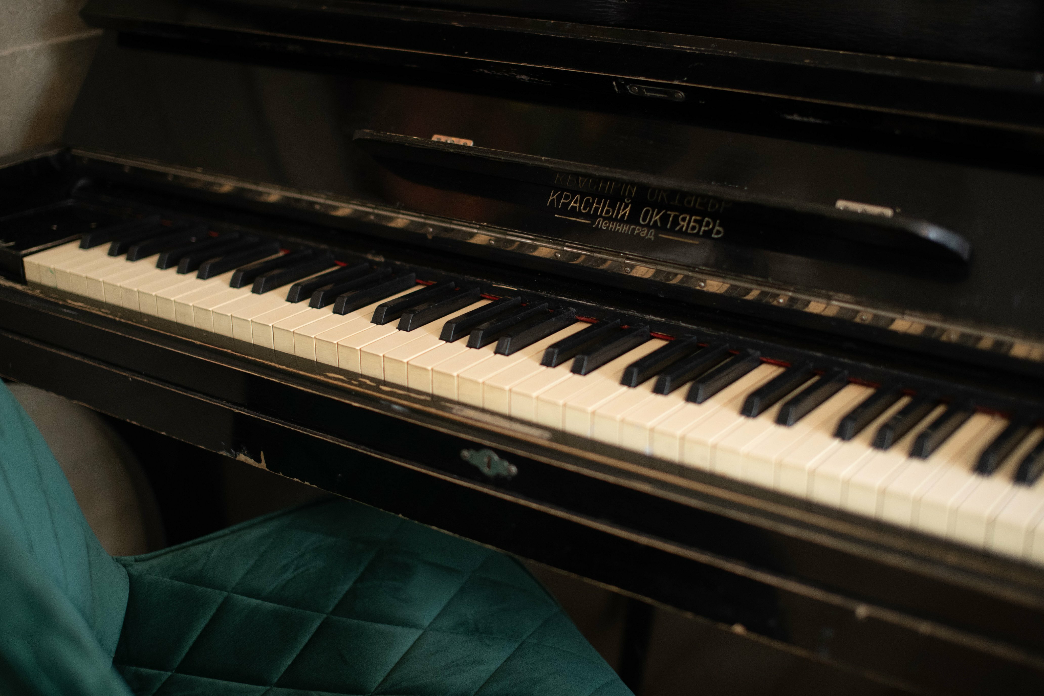 Фото Kurenbin smART