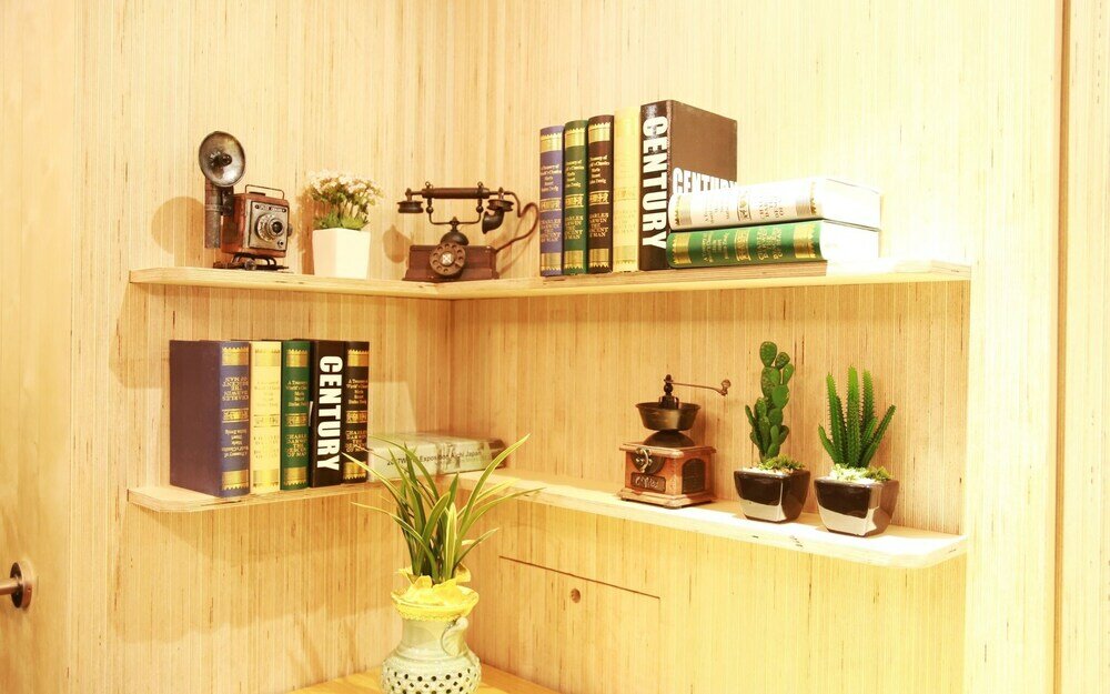 Фото Jamsil Cello