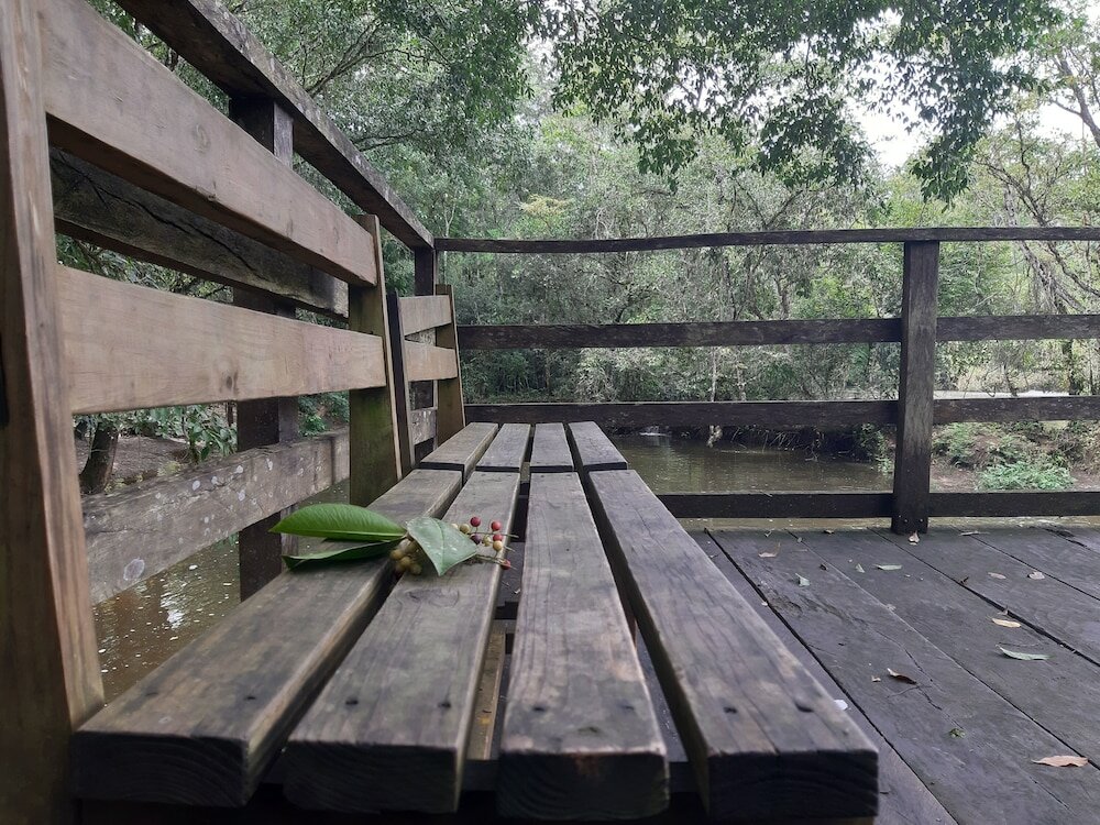 Фото Campamento Lacandones