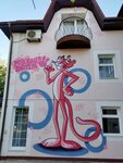 Rozovaya Pantera (ulitsa Shevchenko, 35), guest house