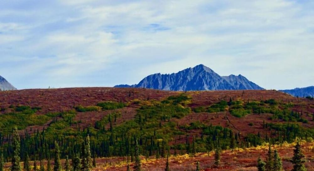 Фото Cantwell Lodge