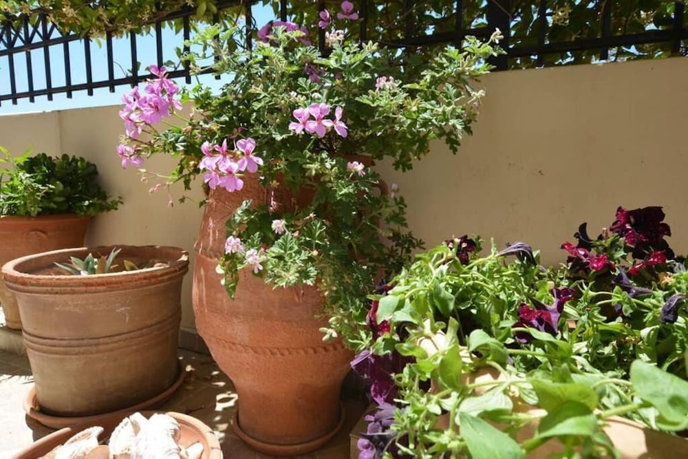 Фото Olive Oil Residence