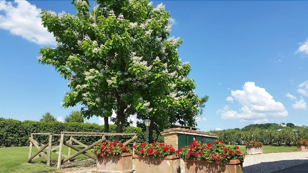 Фото Agriturismo Miralduolo