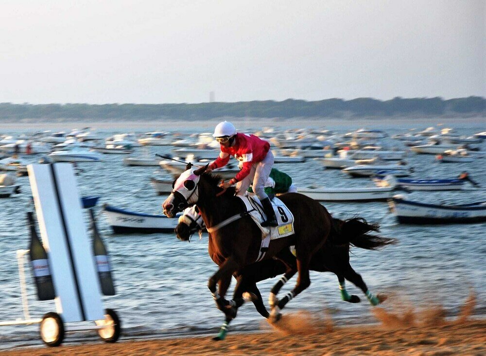 Фото Albariza Hotel Boutique