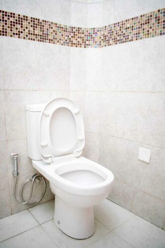 Гостиница Korongoro Hotel Chemolingot