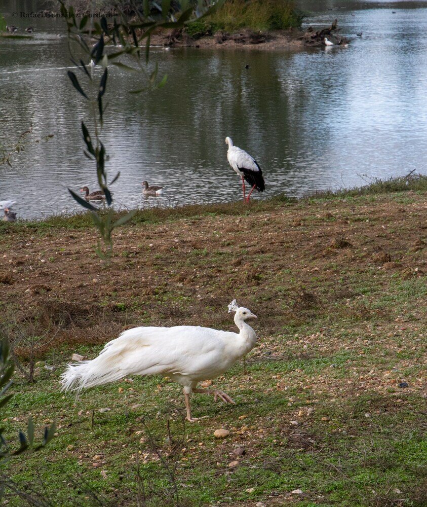 Фото Vivienda Rural el Retorno