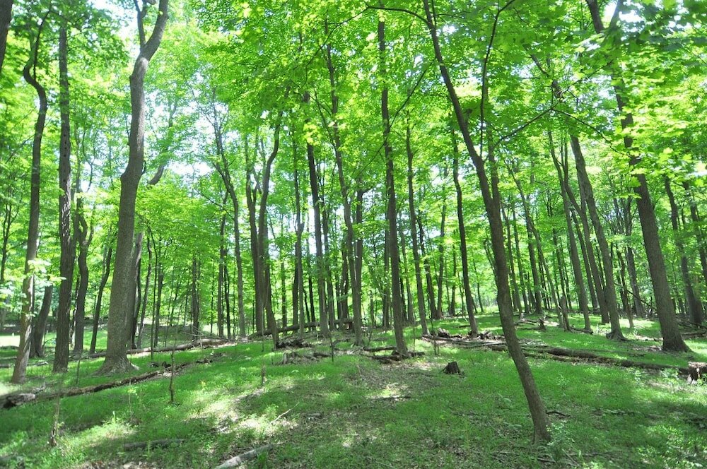 Фото A Serenity Station - A Serene Experience