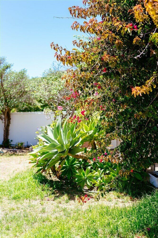 Фото Swept Away Guest House