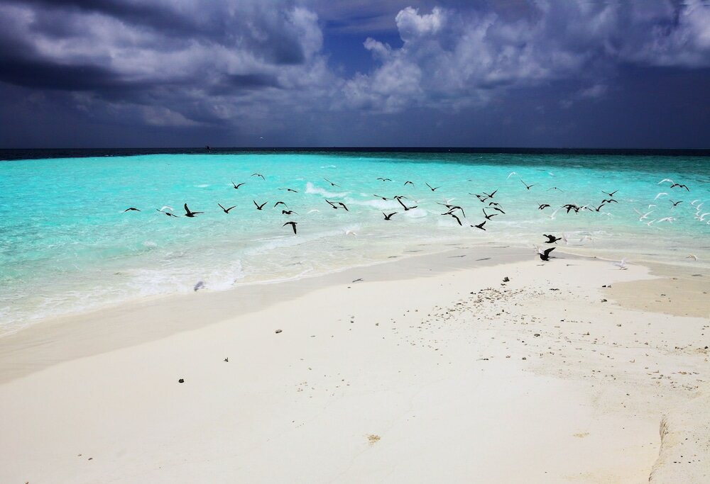 Фото Ocean Villa with pool & SPA