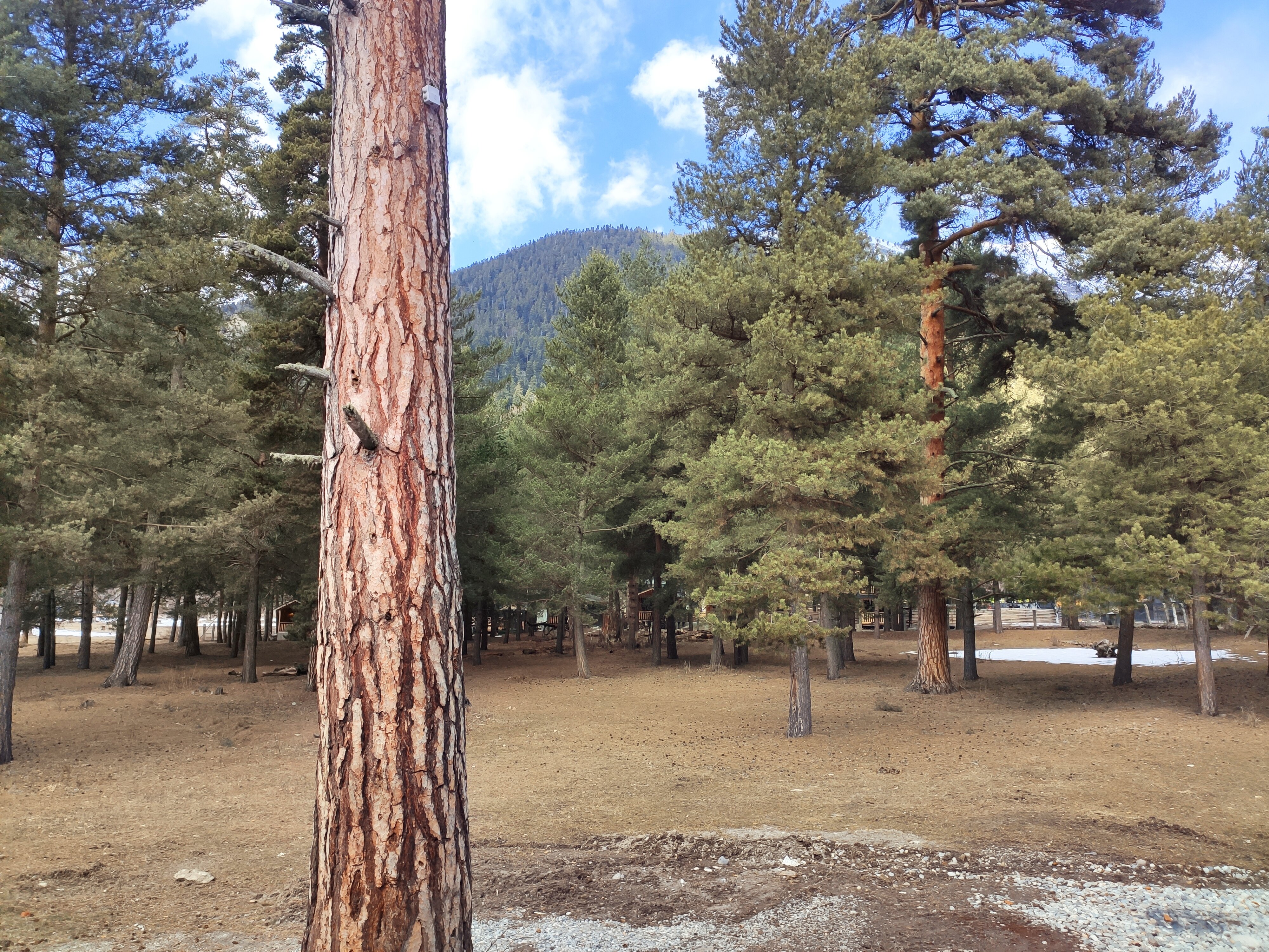 Фото Cabin Shale