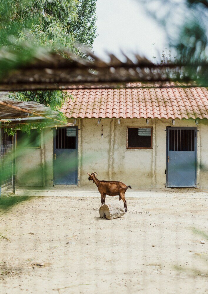 Фото Blerina's Village Project