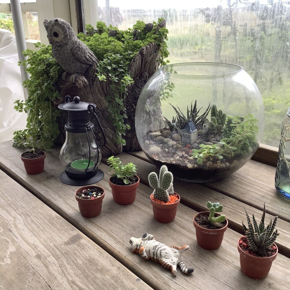 Фото Leisure Pavilion House B&b