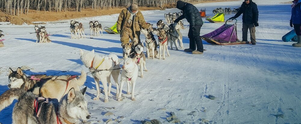 Фото Mongolian Vision Tours