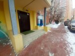 Golitsyno (Tsiolkovskogo Street, 37) ، جمعية أصحاب المنازل