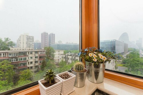 Splendiferous Apartment - Wang Jing