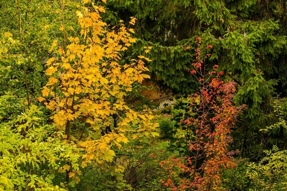 Фото Cosy Pimlico Retreat