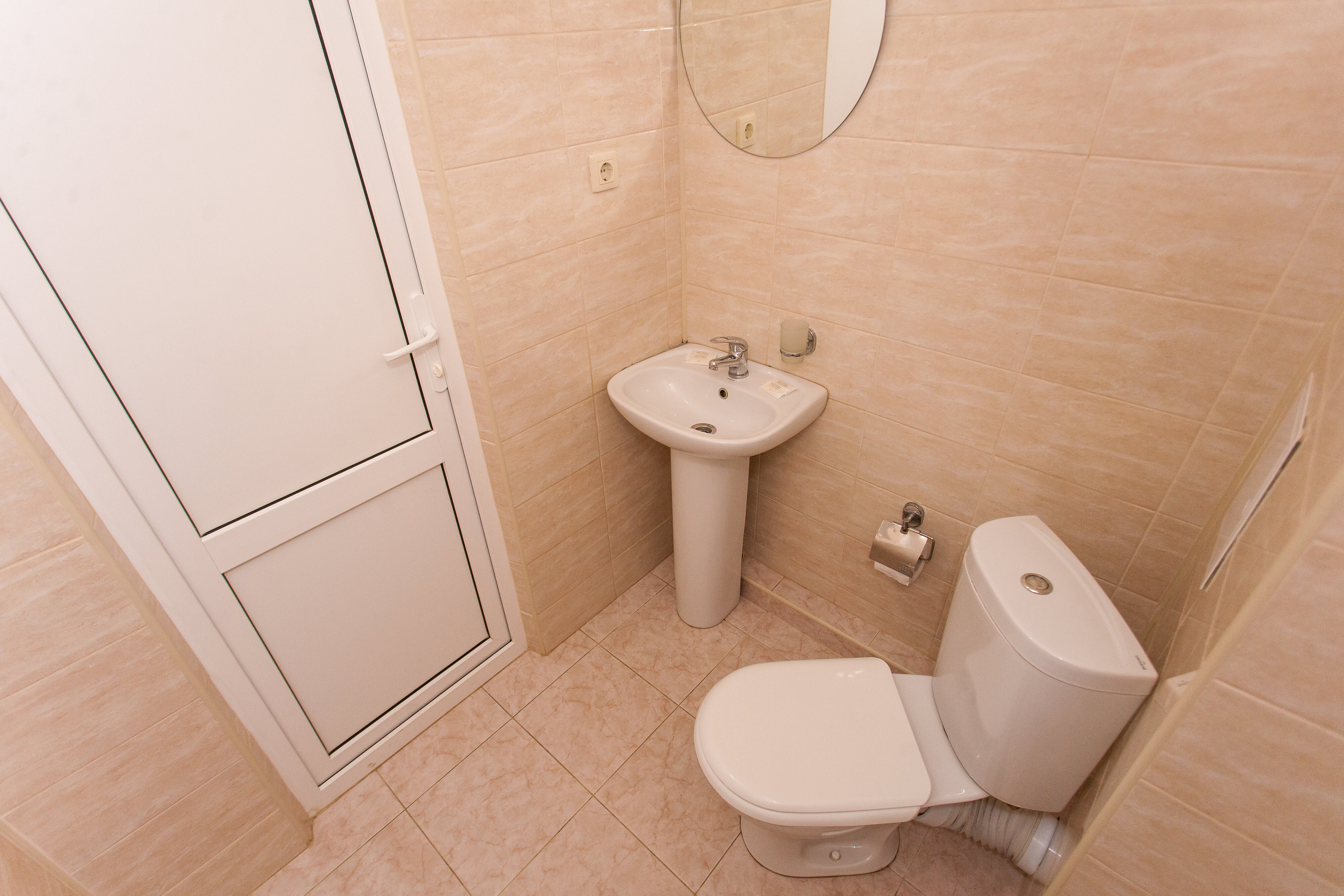 Фото Мангостин