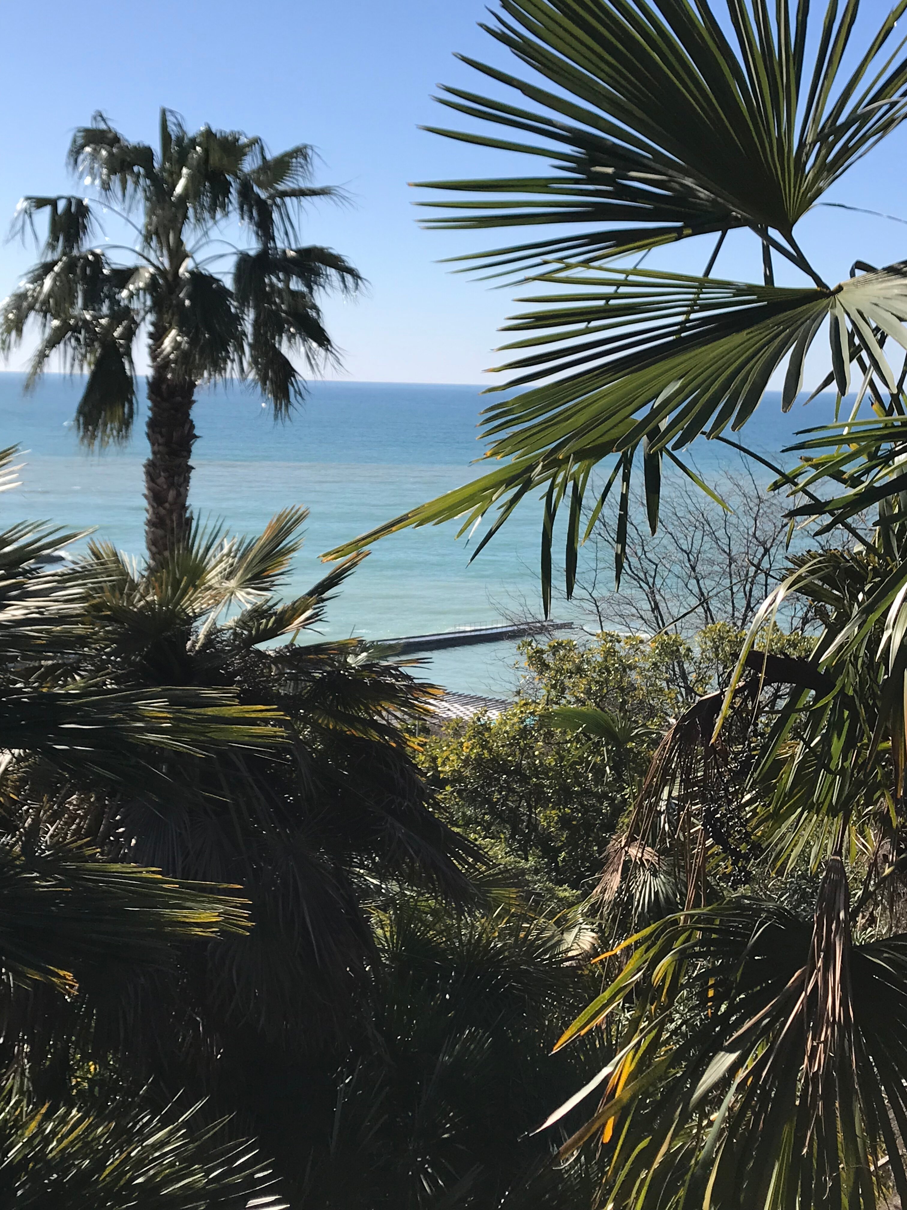 Фото МариАнна