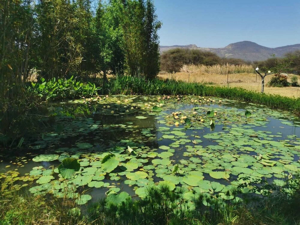 Фото Deo Volente Country Estate