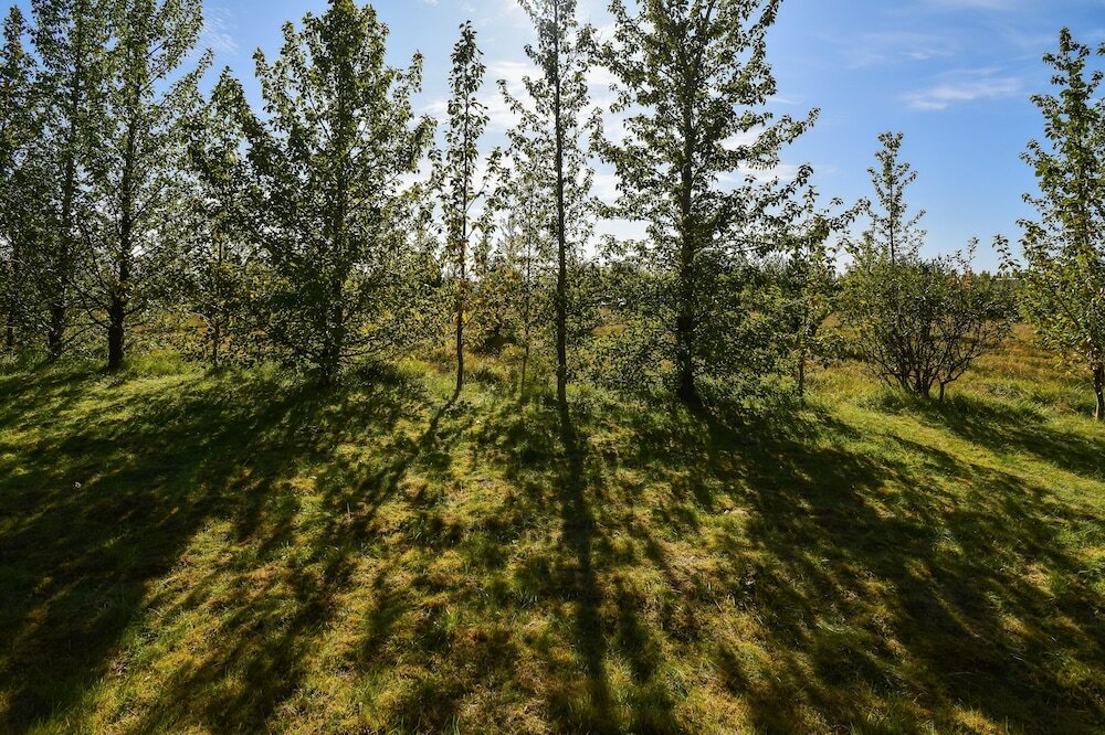 Фото Cottage O12