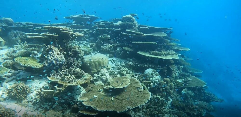 Фото Aqua Sunset