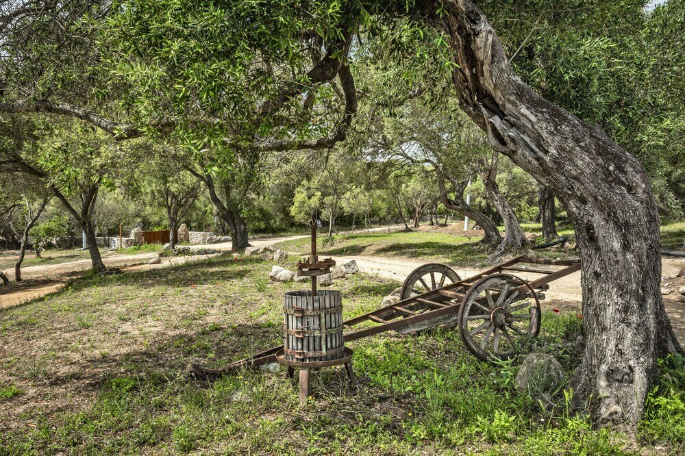 Фото Uddastri Retreat