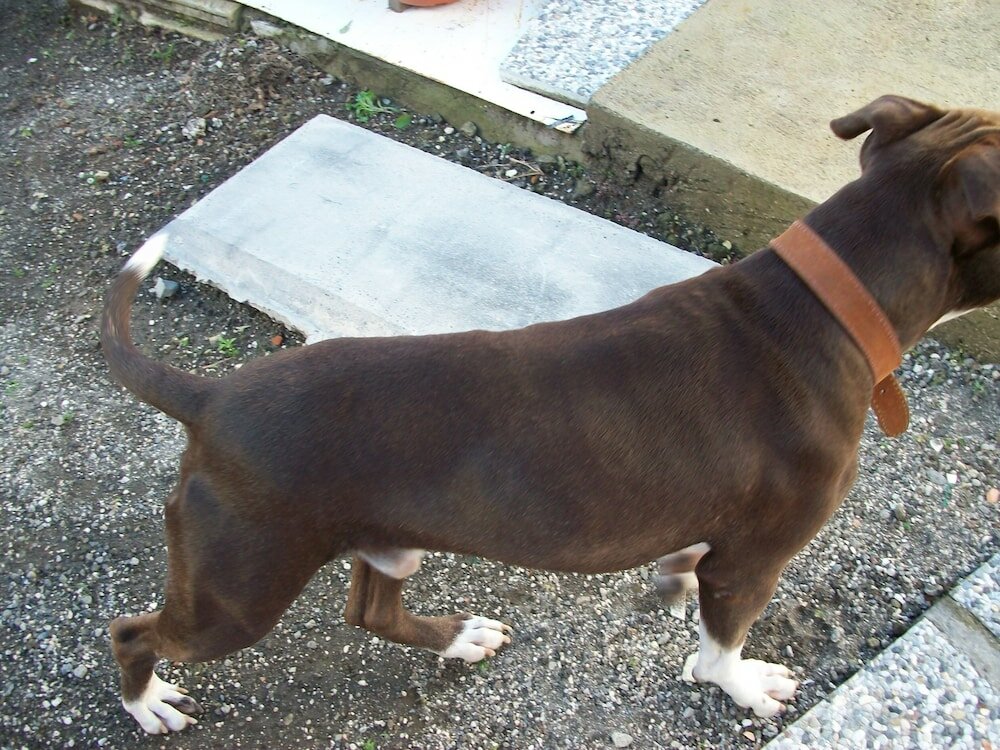 Фото Villa Teresa