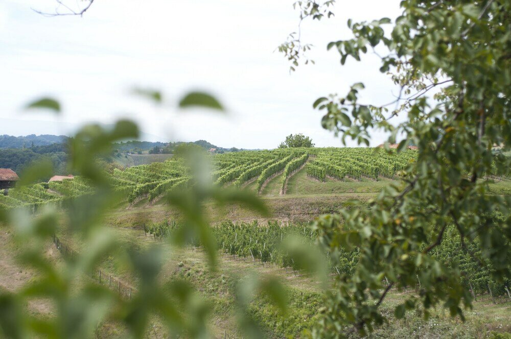 Фото Country House Srček
