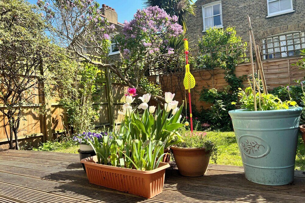 Фото Gorgeous Brixton Garden House