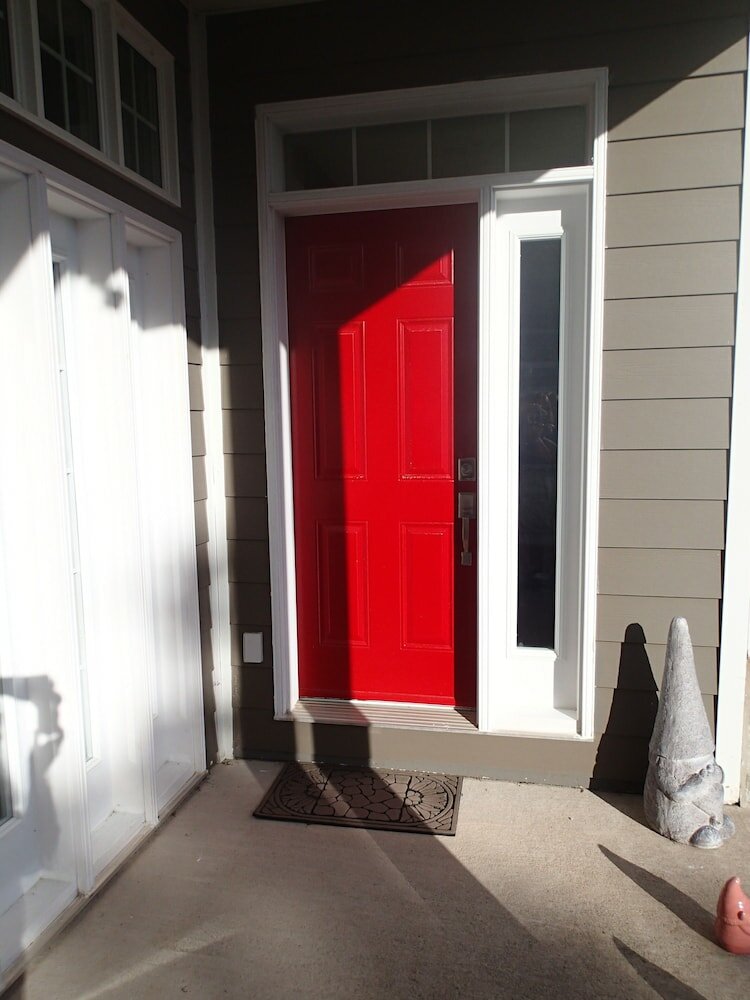 Фото The Cozy Fox