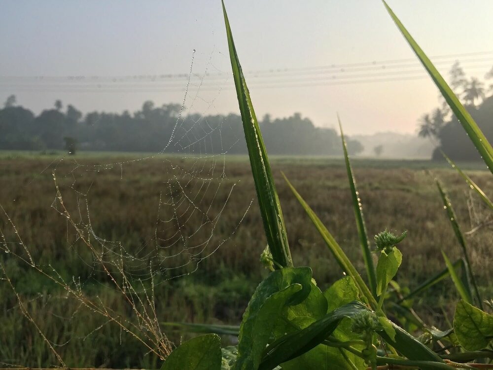 Фото Villa Kumana