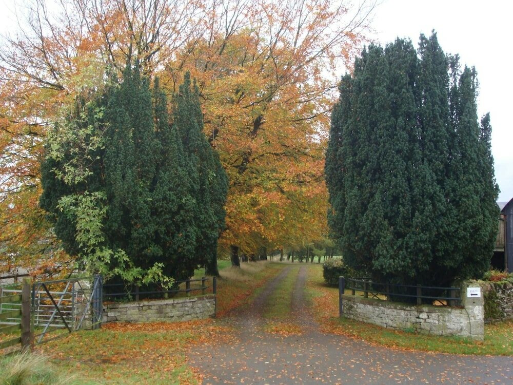 Фото Abbotshaw House - Farm B&b