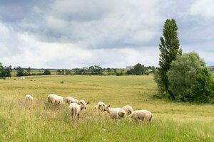 Гостиница The Originals City, Hôtel Le Causséa