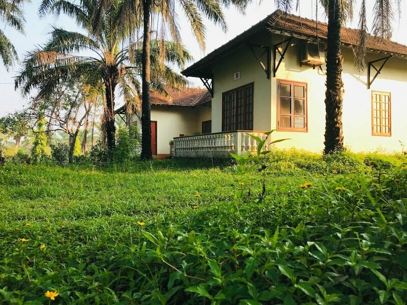 Гостиница Palm Garden House