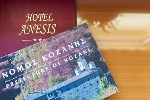 Гостиница Anesis Hotel
