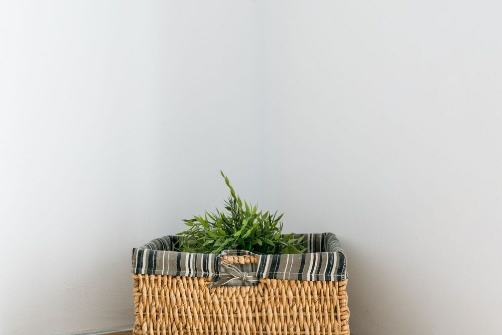 Фото Apartamento Alameda 1